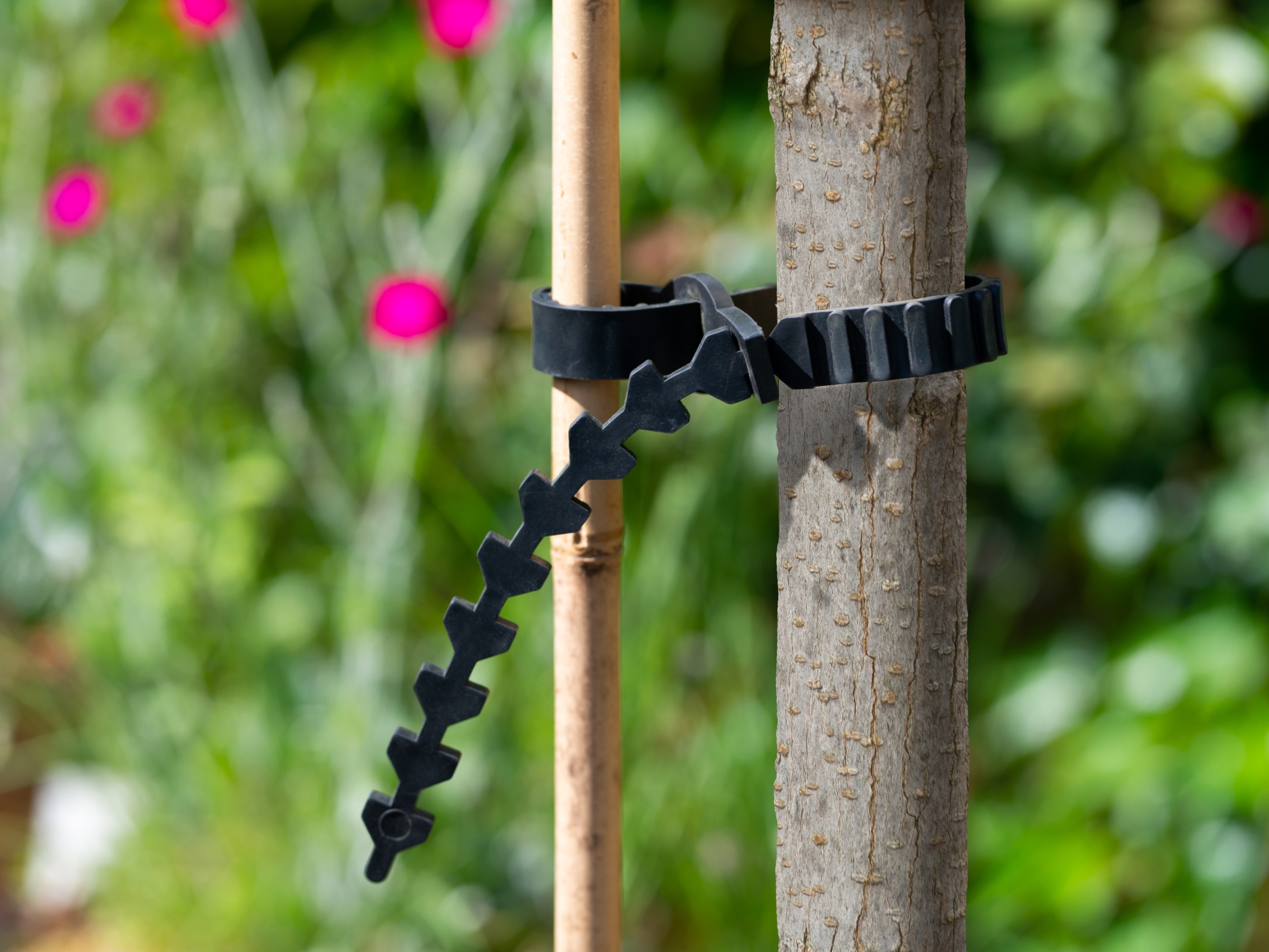 Boomband rattenstaartsl. L90cm
