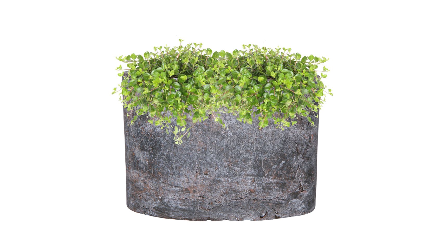 Planter Amber earth D29/11 H20