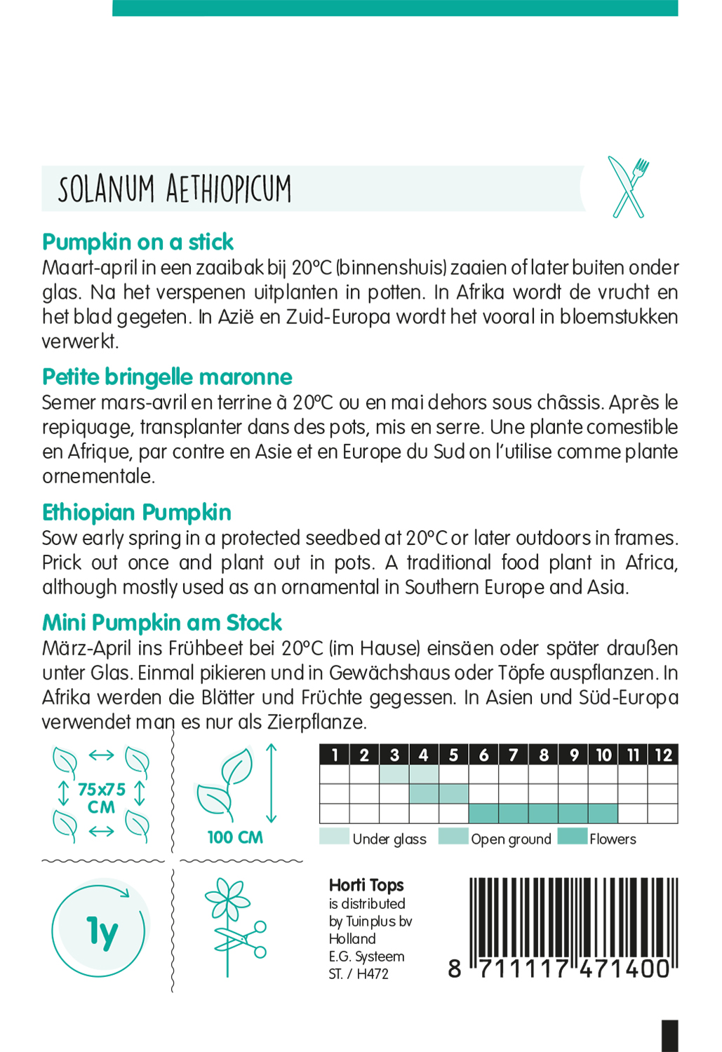 HT Solanum, Pumpkin on a stick