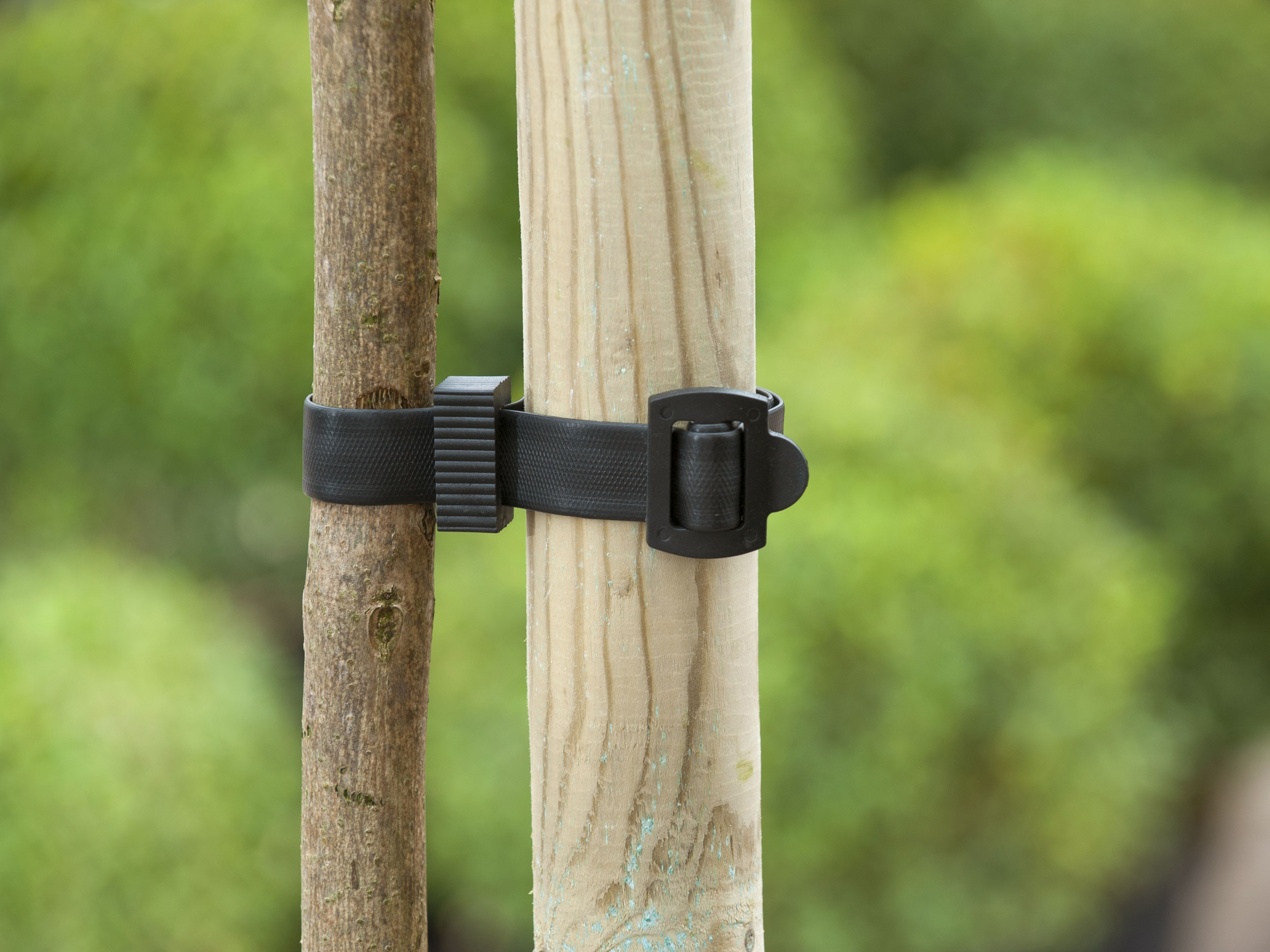 Boomband met gesp L45 B2.5cm