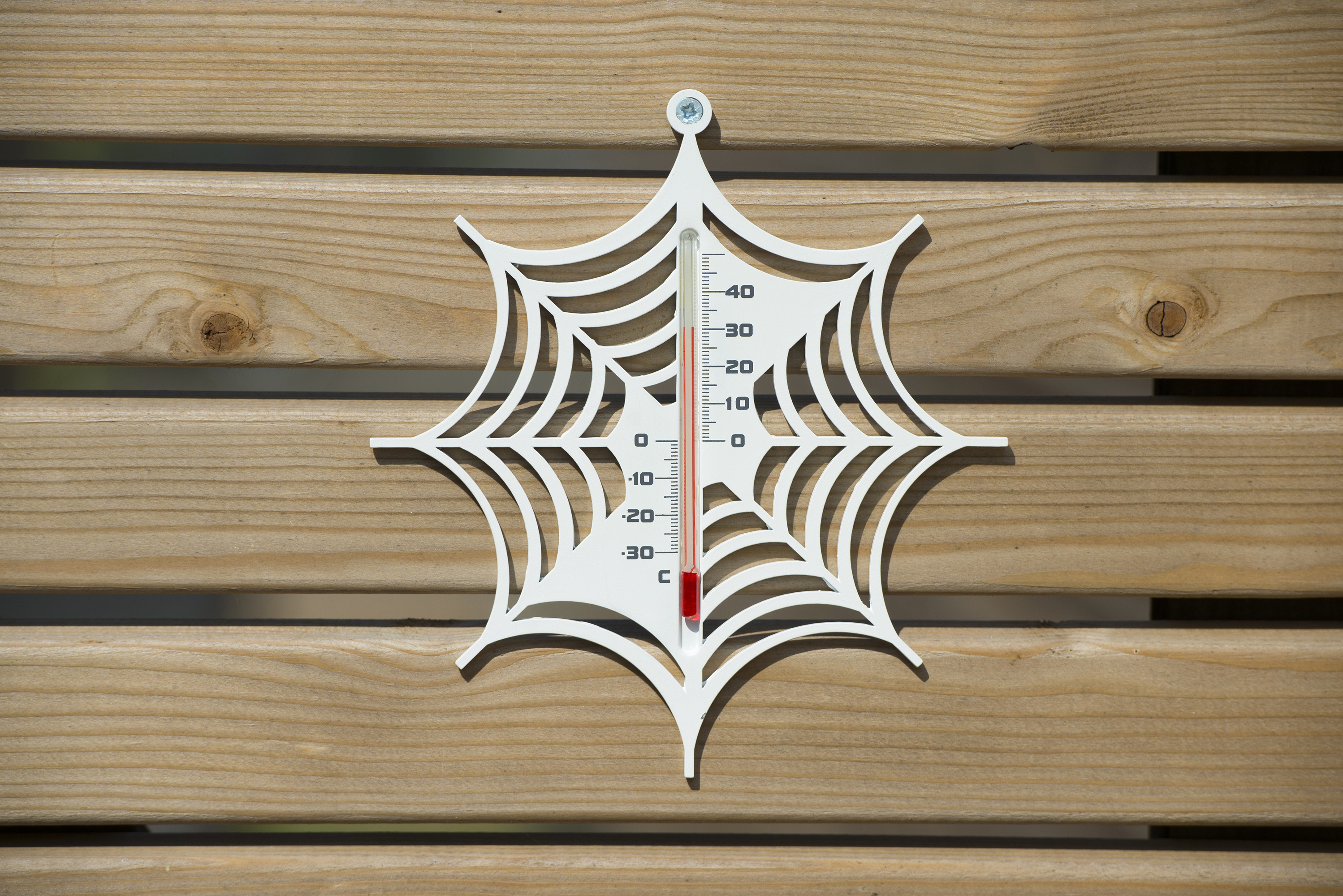 Muurthermometer Kunststof Spinnenweb wit
