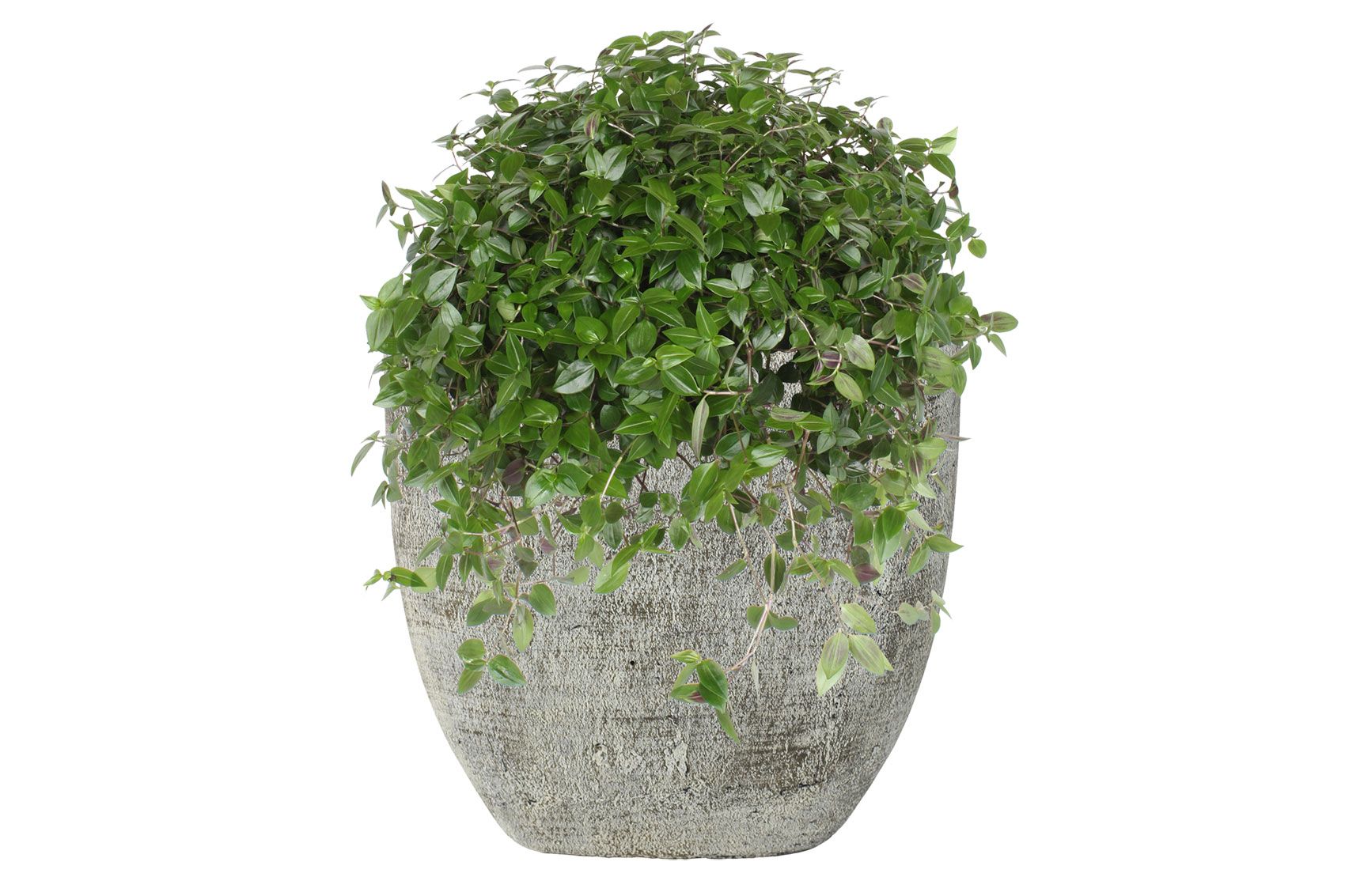Planter Anne white earth D32x14 H30