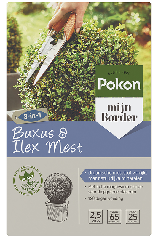 Buxus&ilex mest 2.5kg