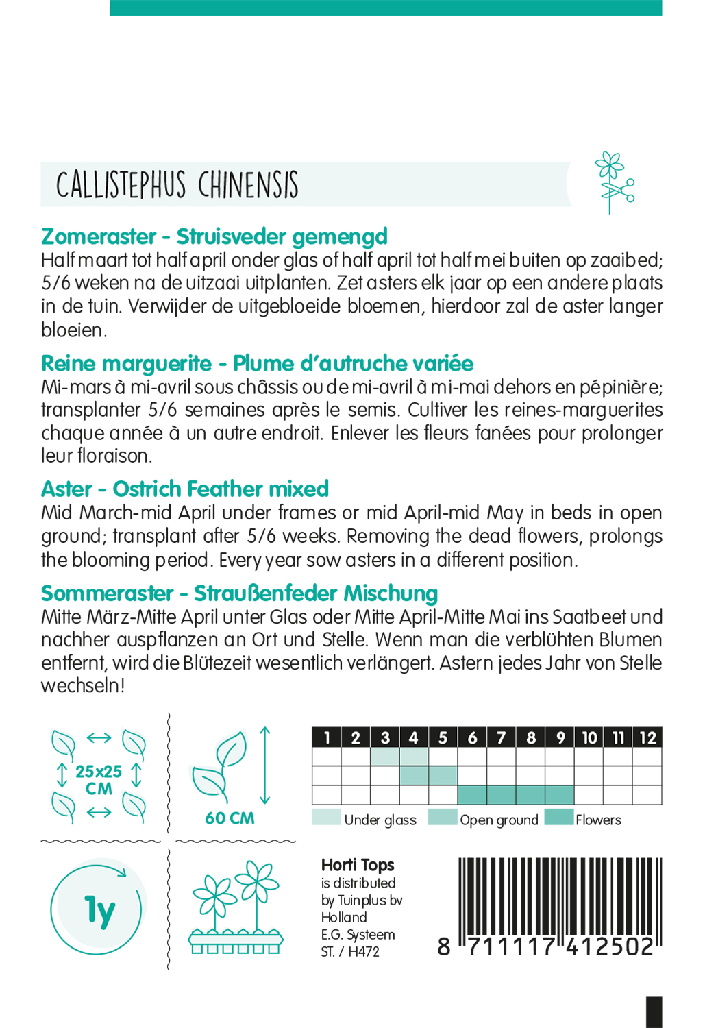 HT Callistephus, Zomeraster Struisveder gemengd