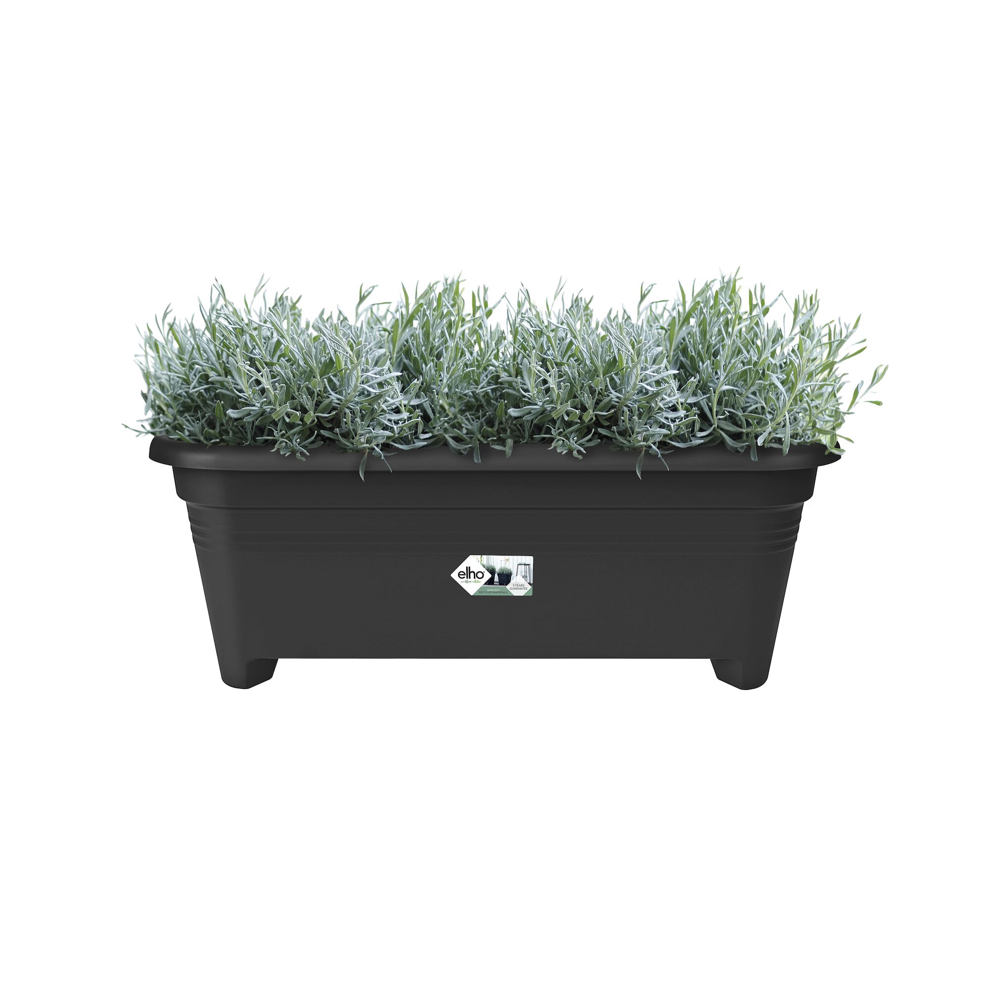 Green basics lang 60cm