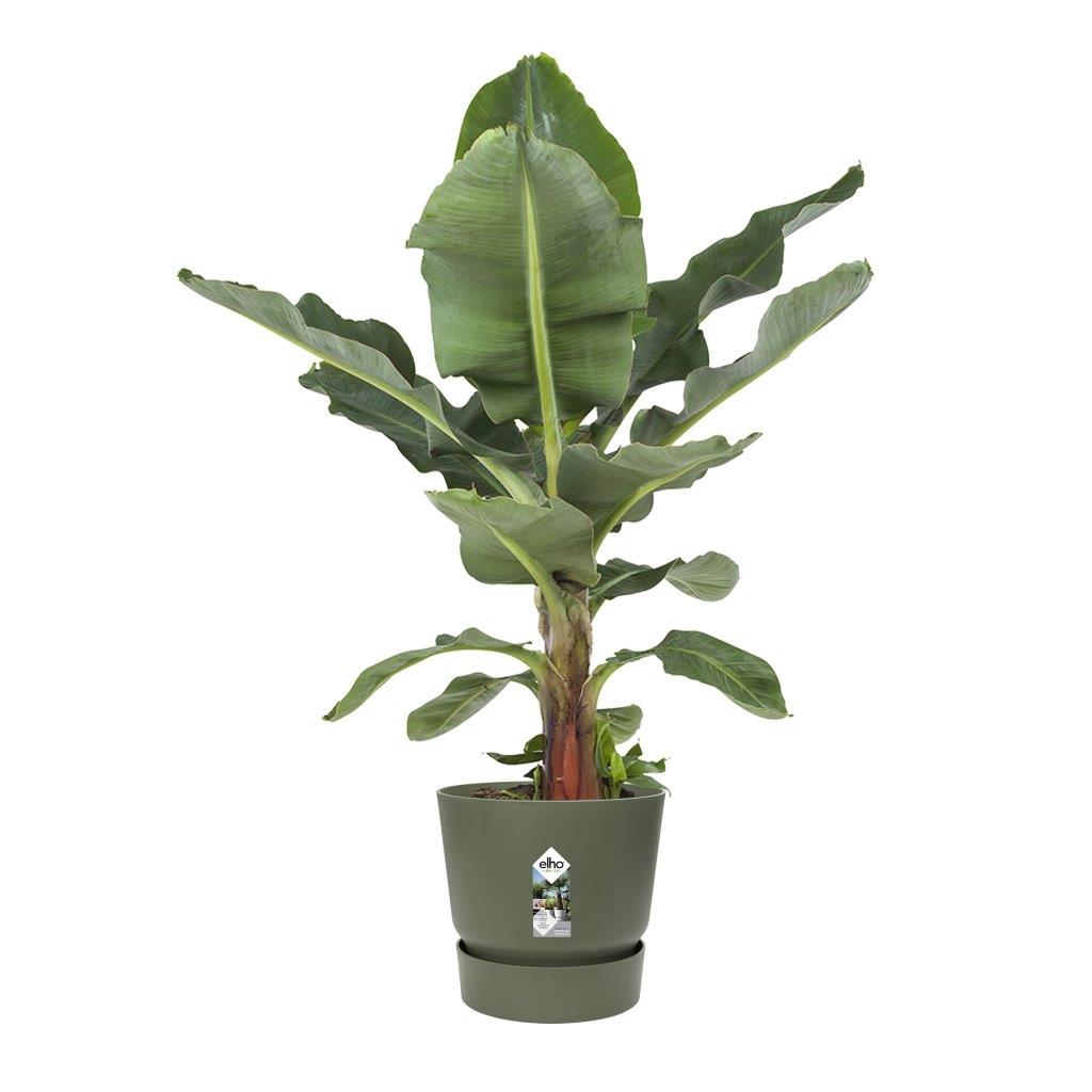 pot greenville d30cm bladgroen
