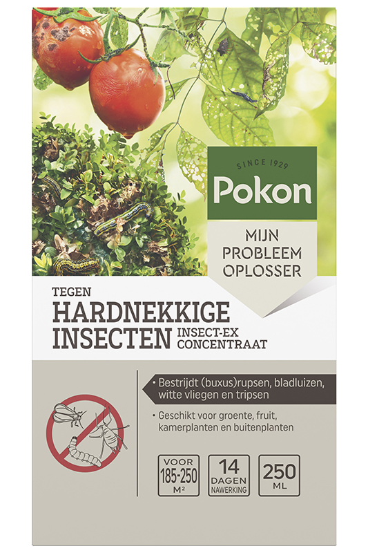 Pokon Tegen Insecten Hardnekkig Concentraat 250ml (Insect-Ex synthetisch)