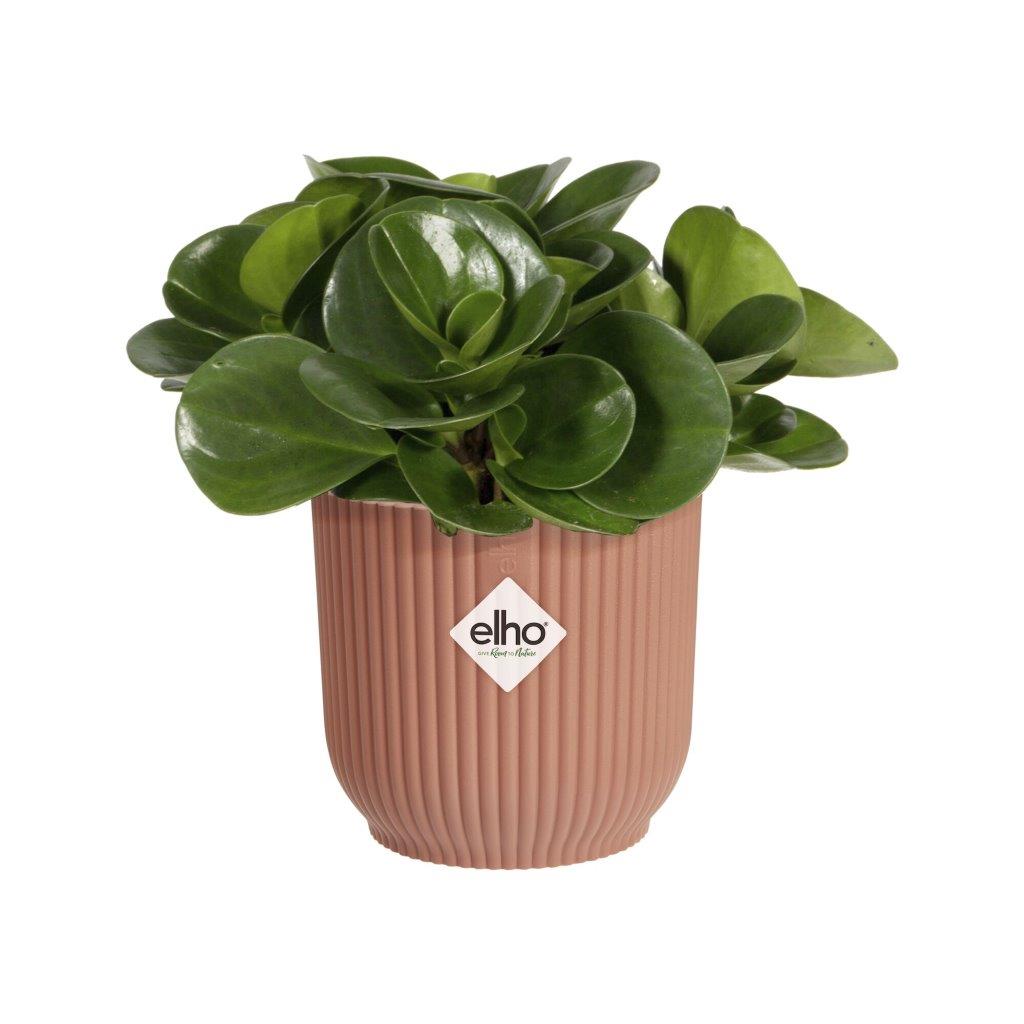 pot vibes fold d7cm delicaatroze