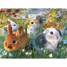 livelife ansichtkaarten -  bunnies