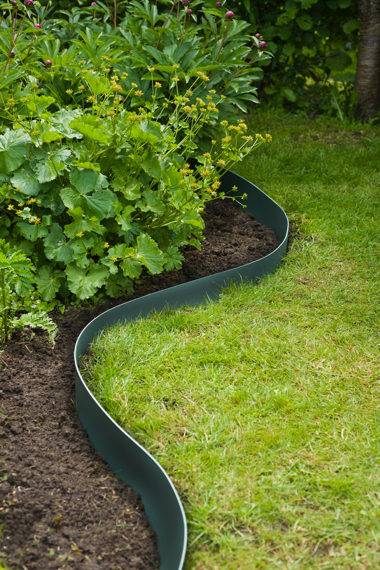 Borderrand rol 10m H15cm groen