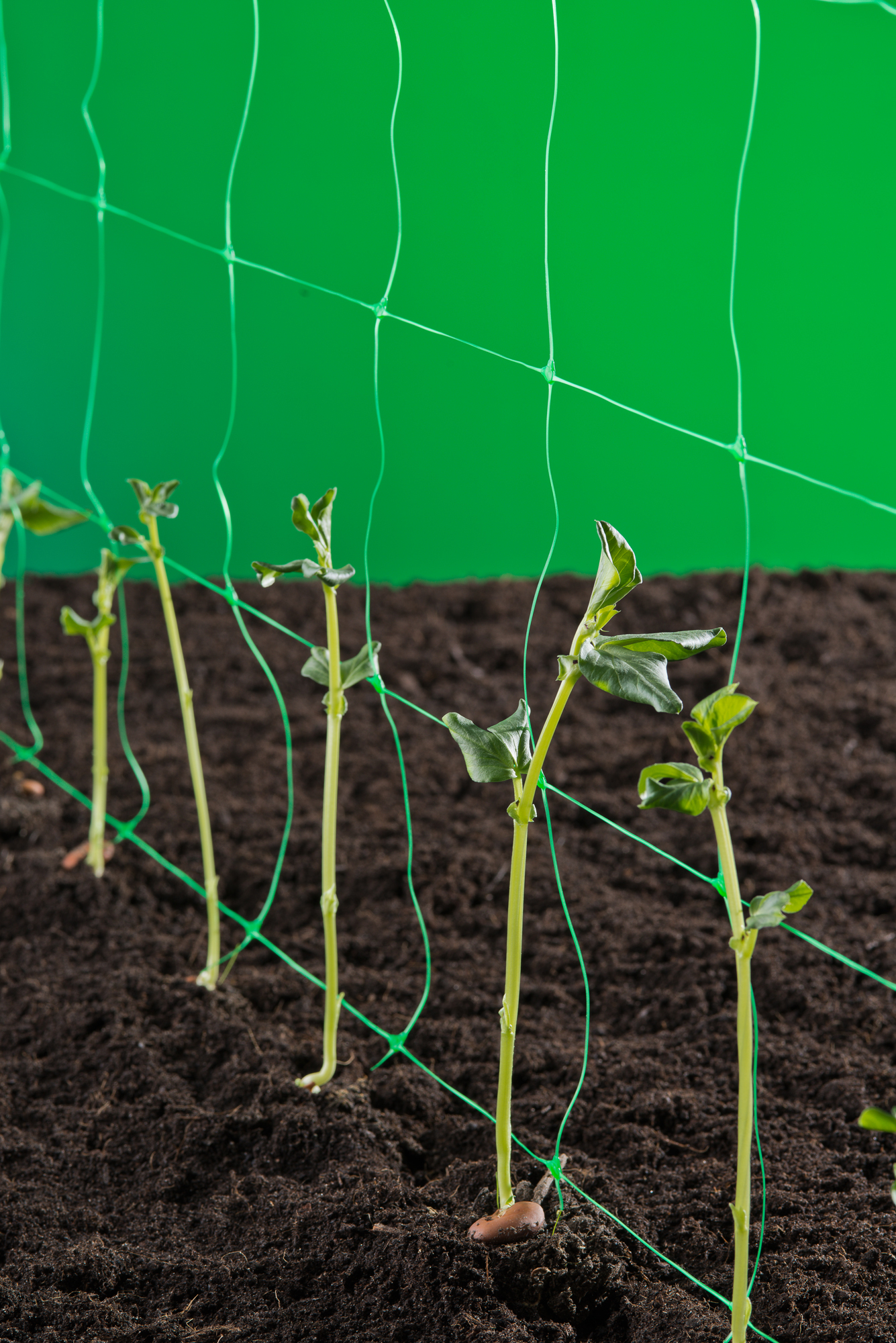 Klim, Groei- en Geleidenet groen 2x5m