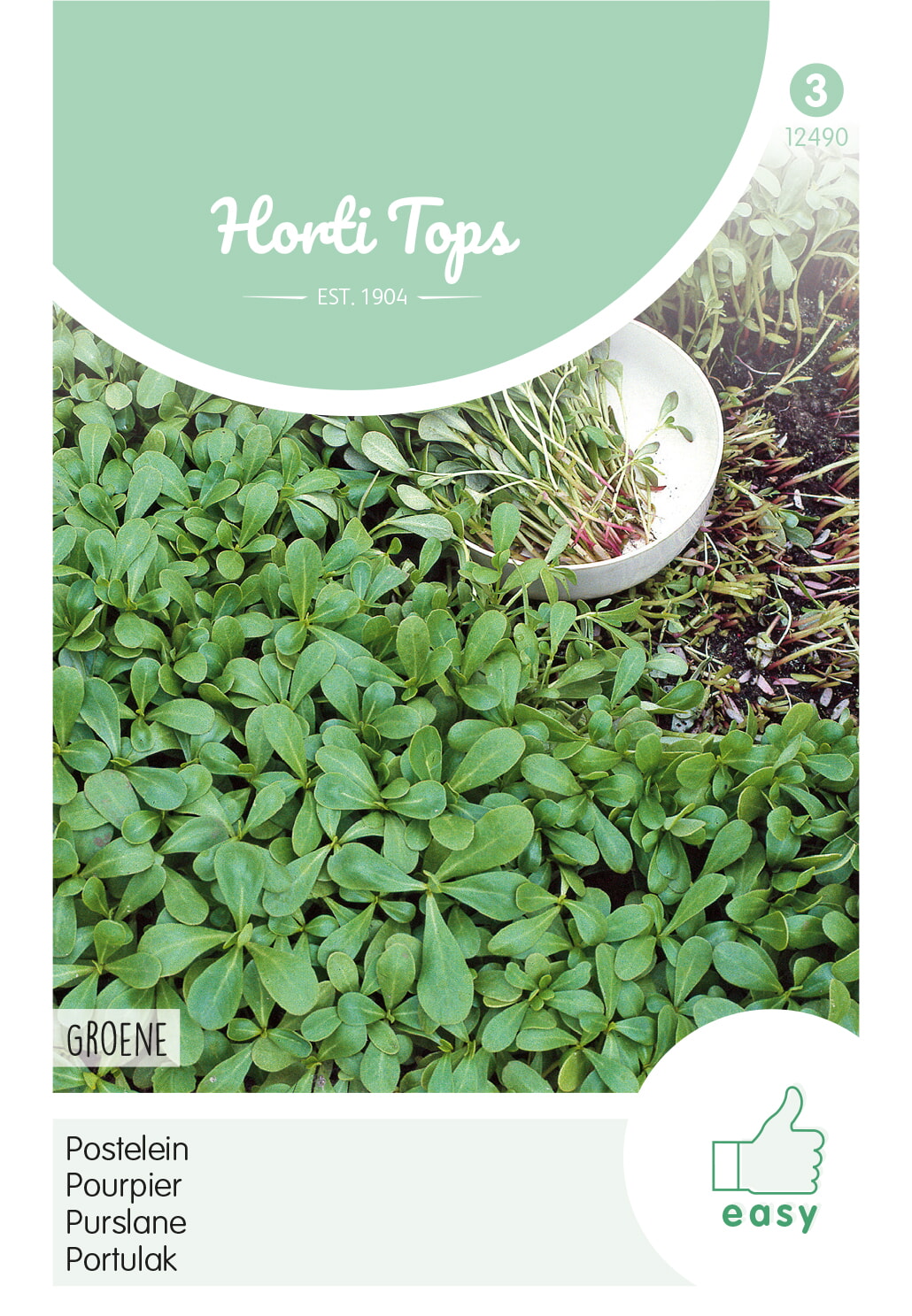HT Postelein Groene