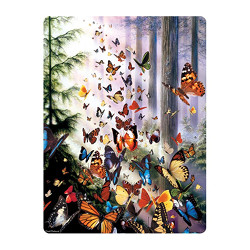 livelife ansichtkaarten -  butterfly woods