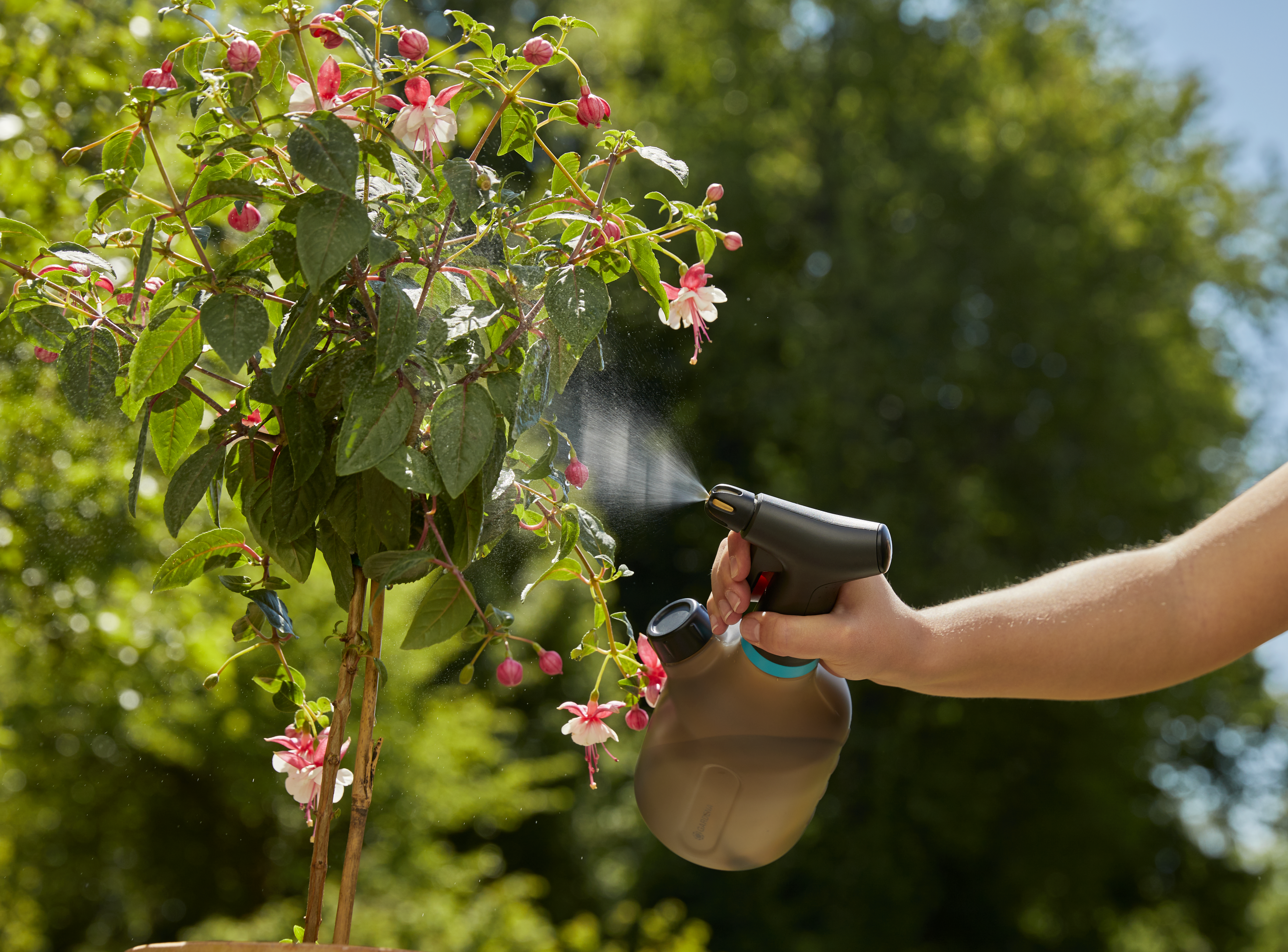 Plantenspuit 1L