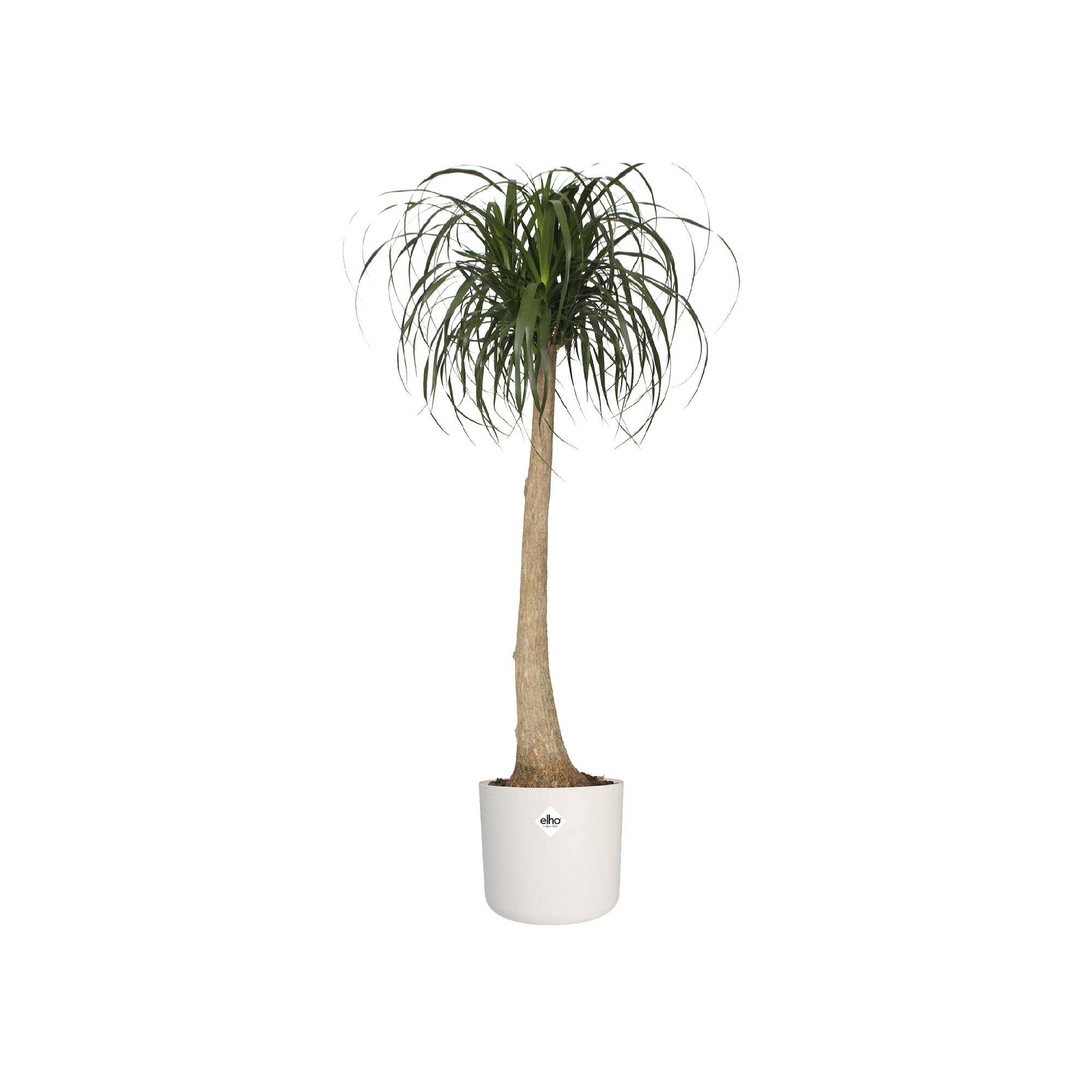 pot b.for soft d18cm wit