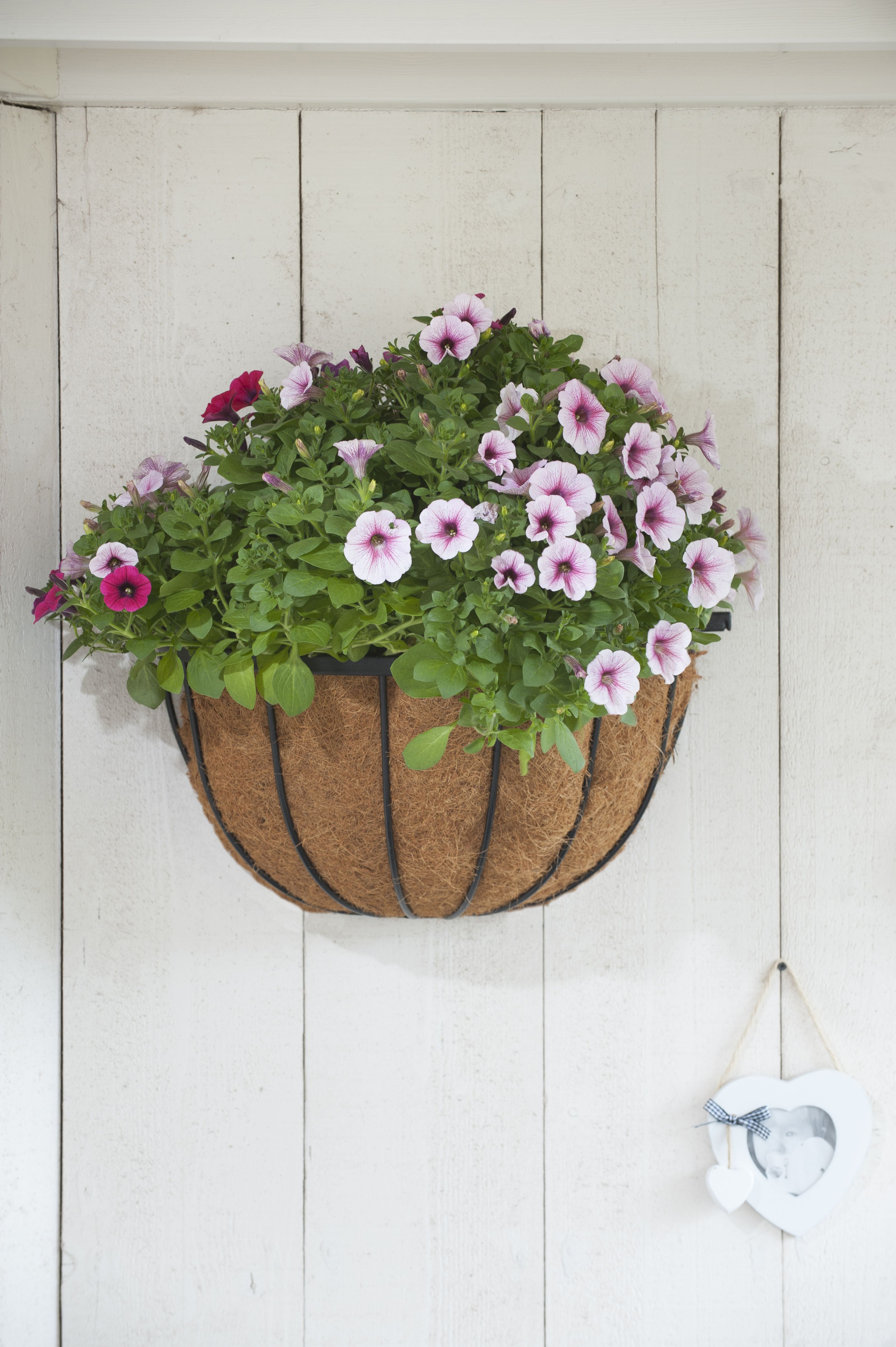 Hanging Basket Smeedijzer zwart H19x½ D40cm