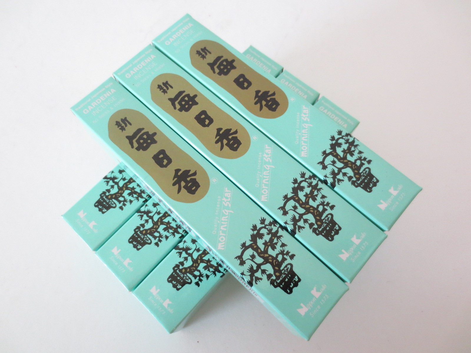 Morning Star - Gardenia (6 st)