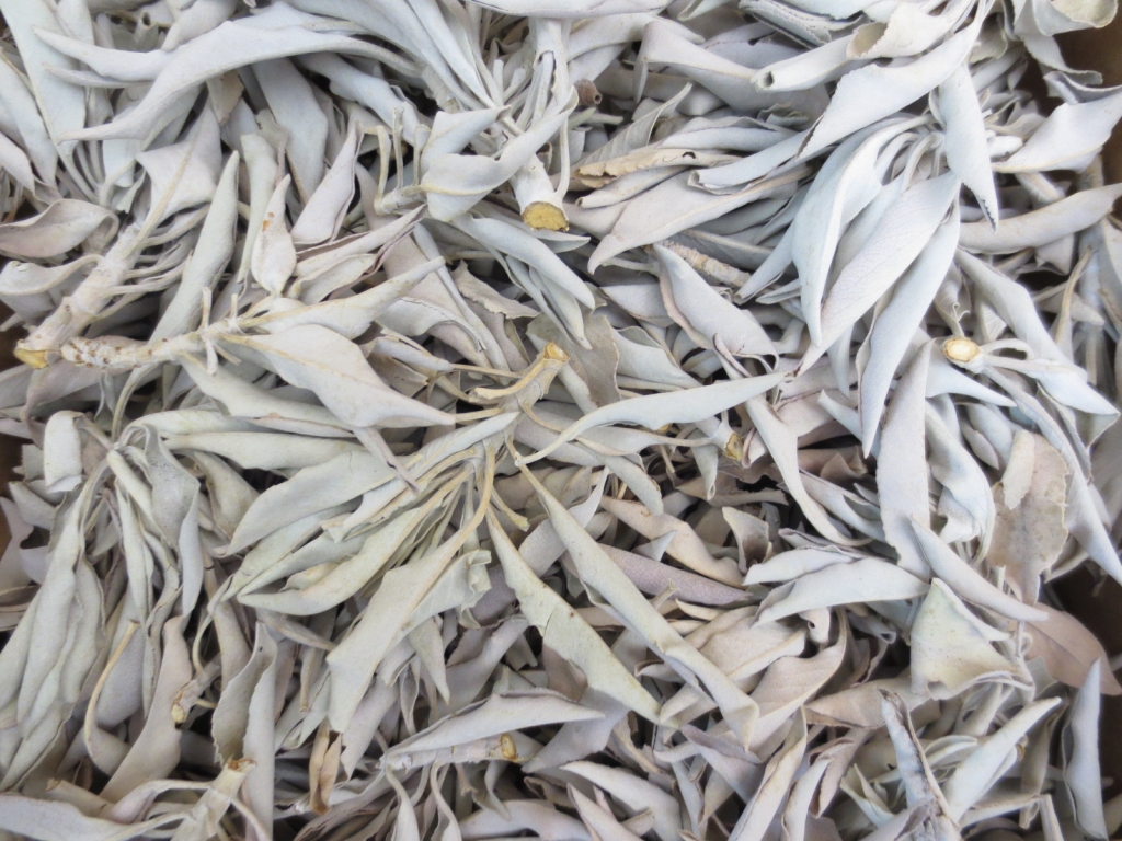 White Sage Clusters 500gram
