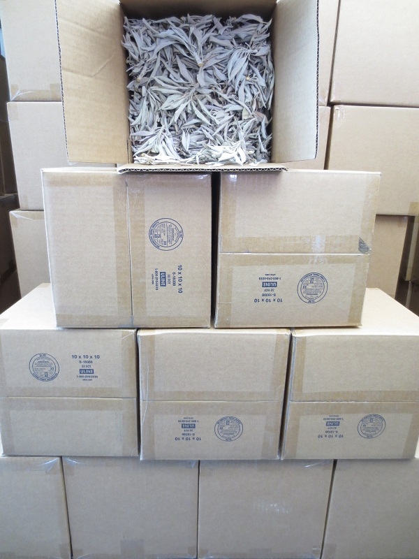 Witte Salie Clusters 10kg