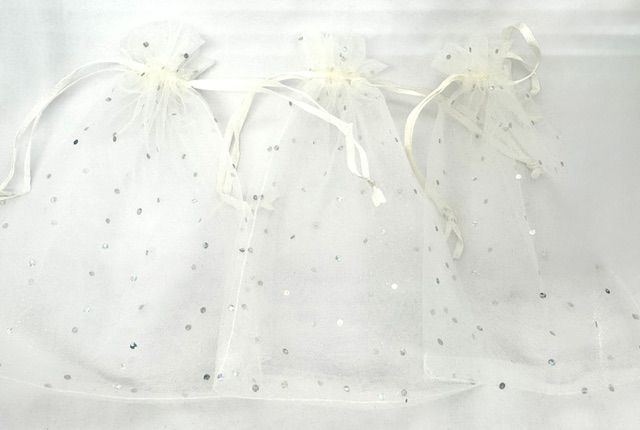 Stippeltje Zilver 13 x 20 cm