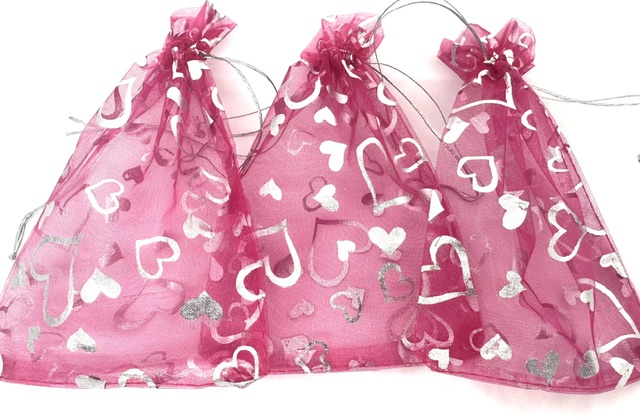 Hartjes Fuchsia 10 x 15 cm