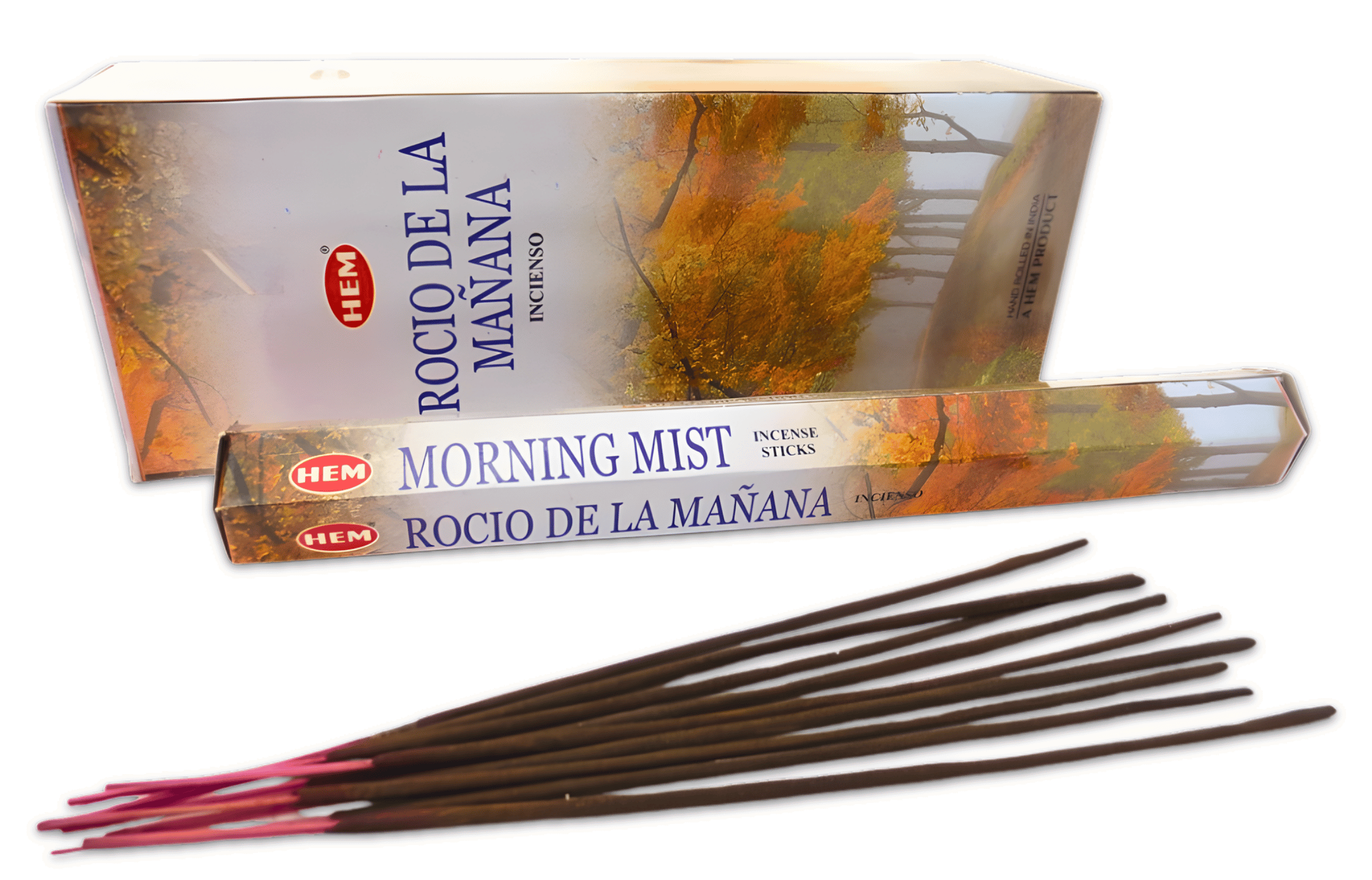 Morning Mist
