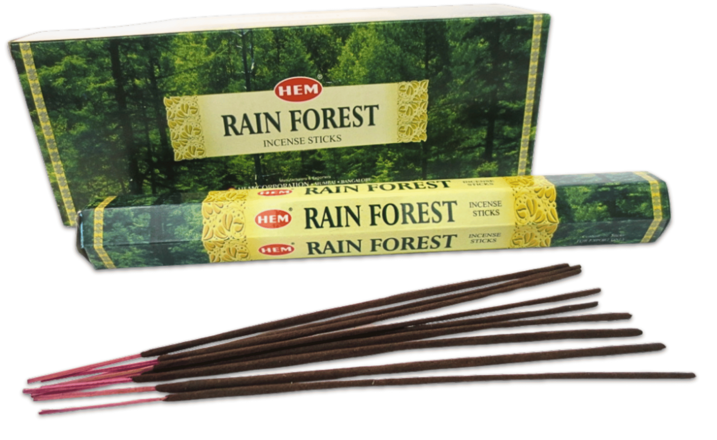 Rain Forest