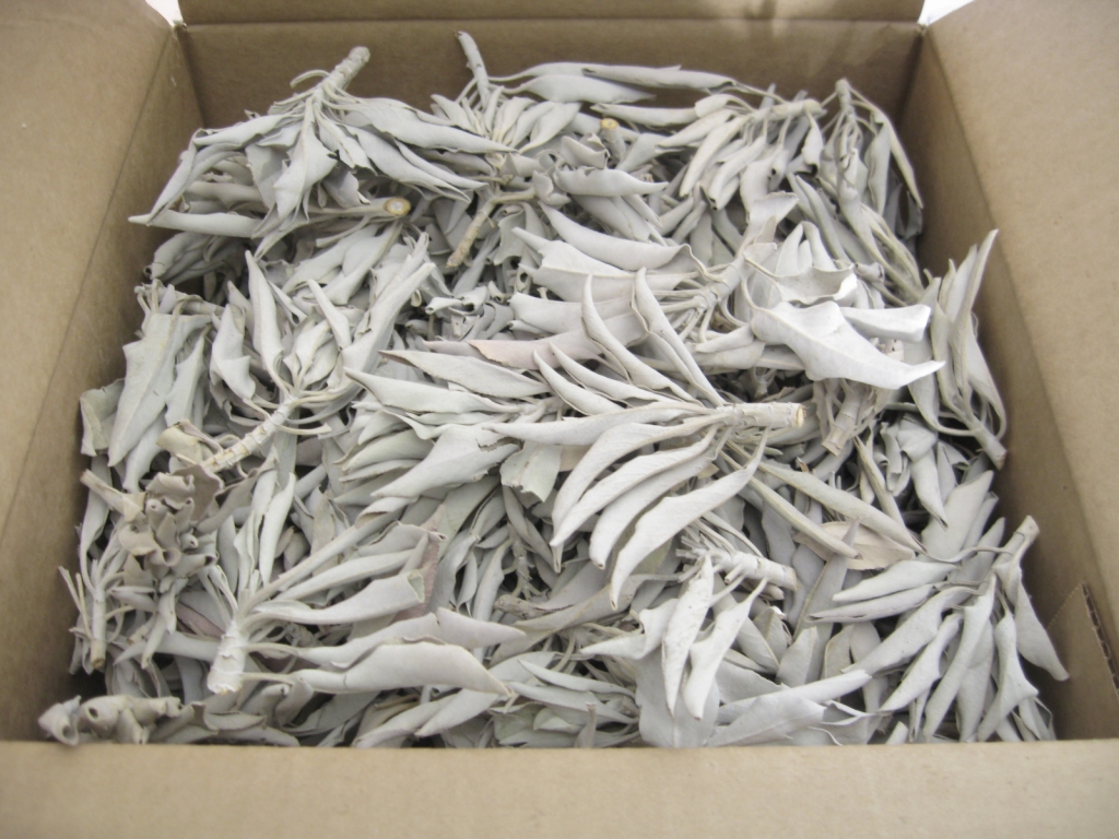 Witte Salie Clusters 10kg
